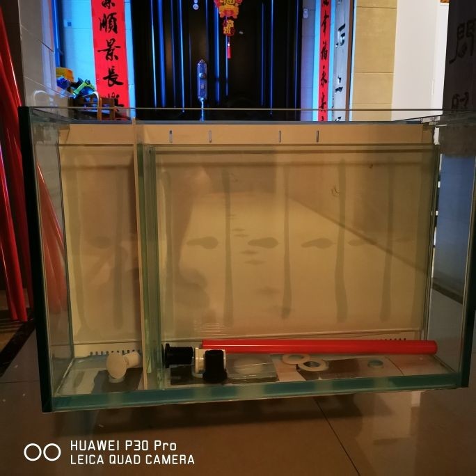 風水魚缸適合放在什么位置好（不同形狀魚缸的風水意義）