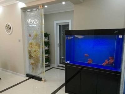 黑底魚缸配什么顏色背景墻好（魚缸背景墻的顏色選擇）