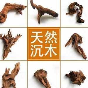 花小魚魚缸怎么樣（花小魚品牌的背后故事）