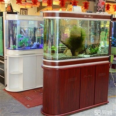花鳥市場的回收價格：花鳥市場回收的價格因素