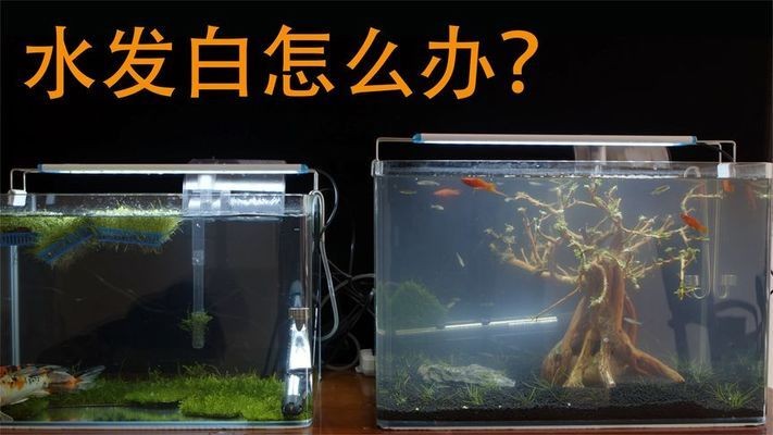 無錫愛立美科技有限公司（無錫愛立美科技有限公司怎么樣）