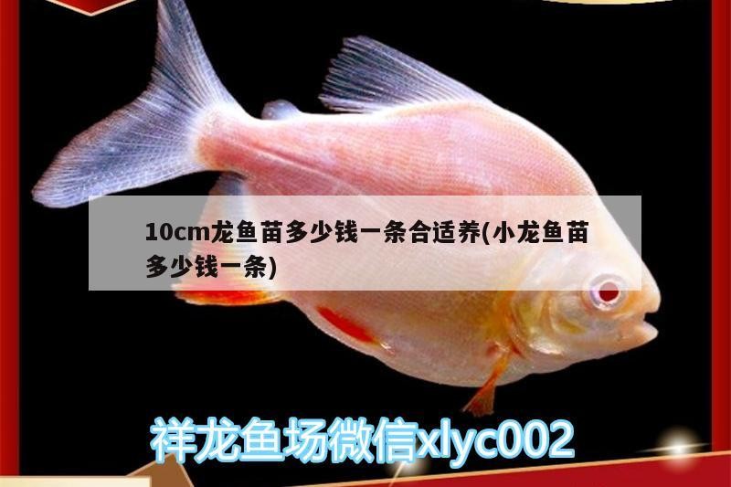 銀龍魚和紅龍魚哪個(gè)貴一些銀龍魚和紅龍魚的價(jià)格比較，銀龍魚和紅龍魚哪個(gè)貴一些及呢？