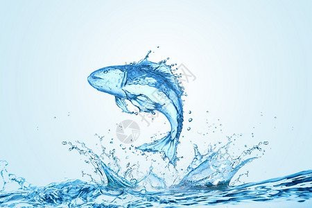 哪里可以找到紅龍魚高清壁紙？