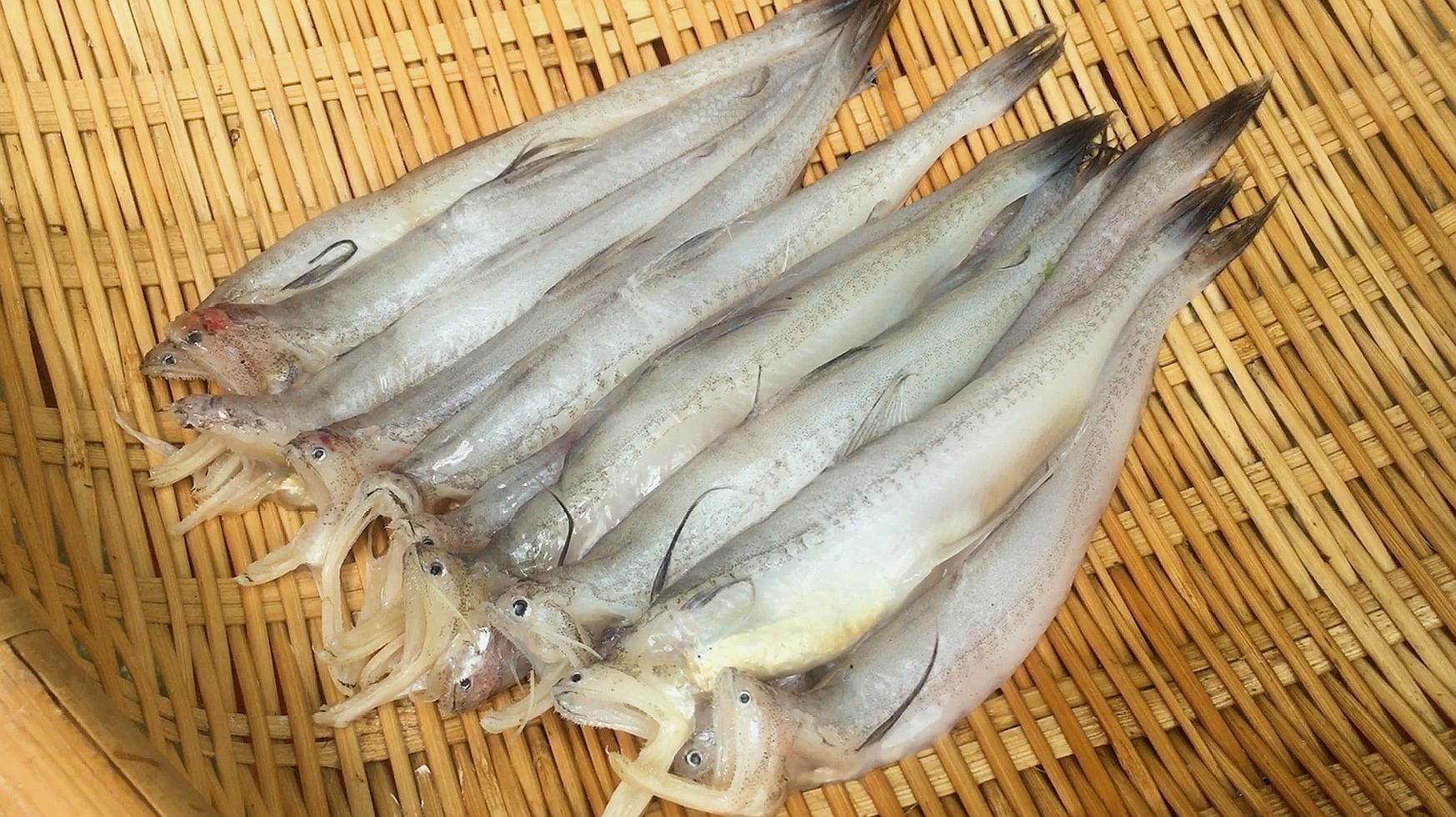 龍頭魚的最佳烹飪方法