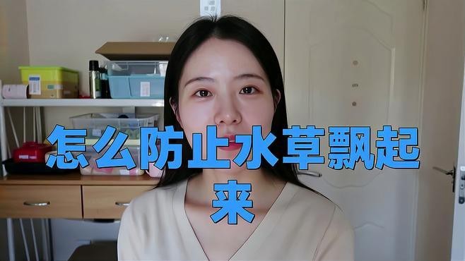 如何固定龍魚缸里的水草？
