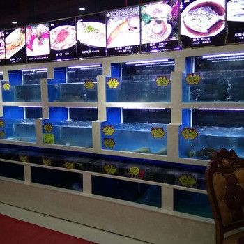 海寧魚缸防震技巧：海寧市硤石植藝魚缸店成立于2019年08月08日