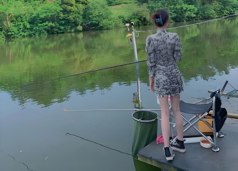 雙線魚為何不能養