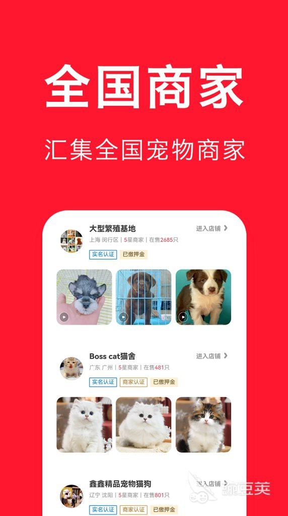 哪個平臺的龍魚價格最透明？