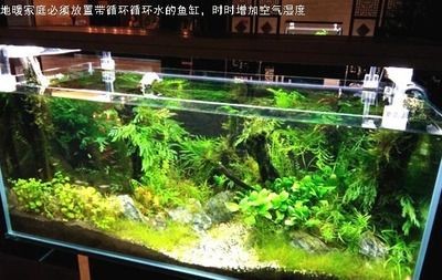 魚(yú)缸循環(huán)系統(tǒng)的設(shè)計(jì)要點(diǎn)：魚(yú)缸循環(huán)系統(tǒng)的設(shè)計(jì)要點(diǎn)包括以下幾個(gè)方面，魚(yú)缸循環(huán)系統(tǒng)的設(shè)計(jì)要點(diǎn)