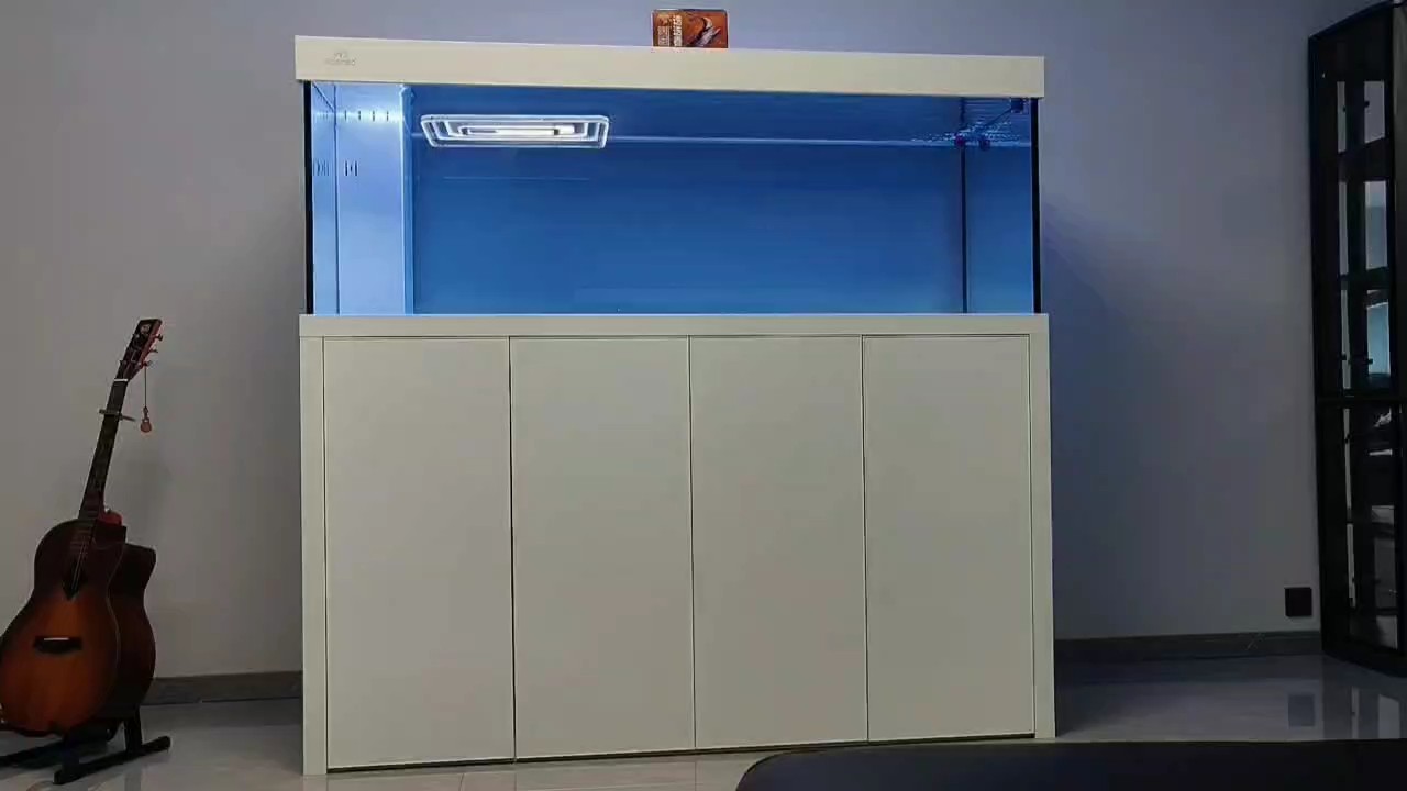 再開一臺新缸～N1