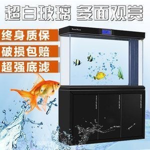 森森魚缸公司簡介：廣東佛山森森魚缸