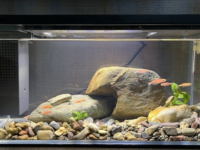 小佩魚缸水泵不工作怎么辦：小佩魚缸水泵不工作是由于電源問題、堵塞、內部零件故障等原因造成的
