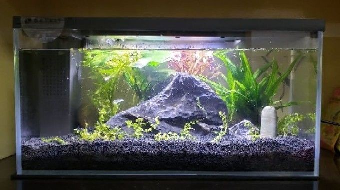 小佩魚缸水泵不工作怎么辦：小佩魚缸水泵不工作是由于電源問題、堵塞、內部零件故障等原因造成的