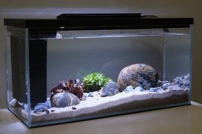 小佩魚缸水泵不工作怎么辦：小佩魚缸水泵不工作是由于電源問題、堵塞、內部零件故障等原因造成的