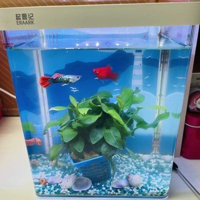 小佩魚缸水泵不工作怎么辦：小佩魚缸水泵不工作是由于電源問題、堵塞、內部零件故障等原因造成的