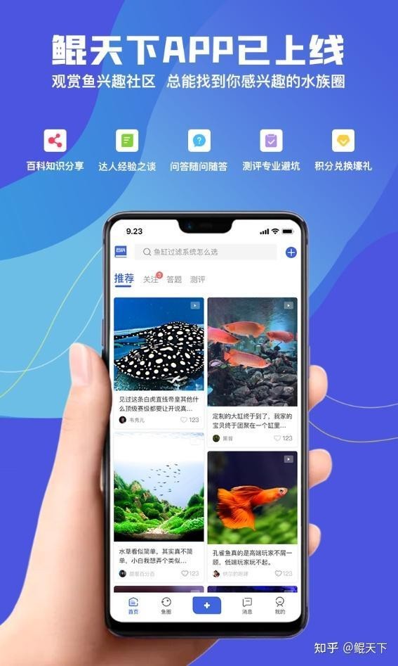龍魚頭上有很多小黑點