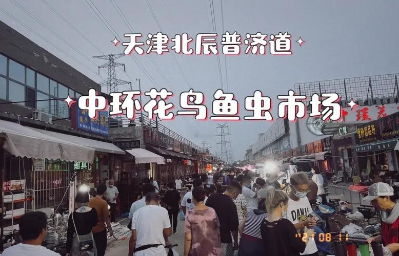 天津水族批發市場祥龍魚場