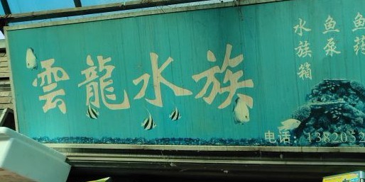 天津水族批發市場祥龍魚場