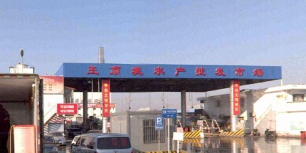 天津水族批發市場祥龍魚場