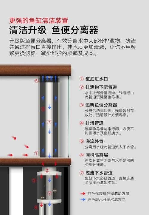 龍魚怎么養(yǎng)殖方法圖解