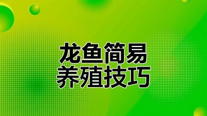 龍魚怎么養(yǎng)殖方法圖解
