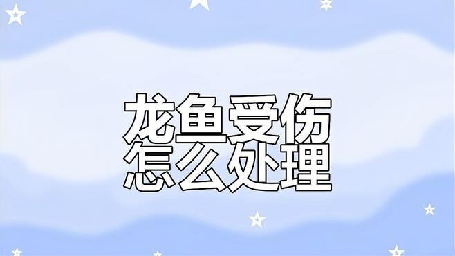 龍魚瘋狂撞缸后翻肚皮怎么辦