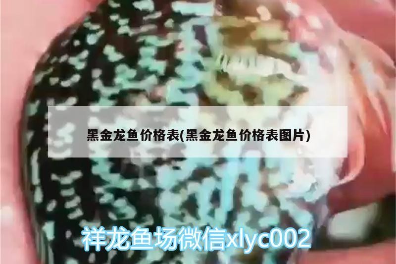 關(guān)于銀龍魚的作文（寫金龍魚的作文）