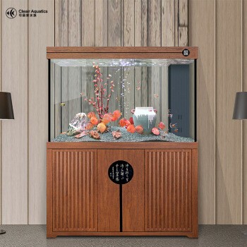 銀龍魚水溫多少度最好養(養殖銀龍魚水溫控制在多少度_)