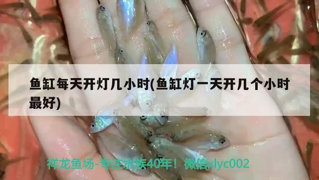 蘭州城關區雁灘花魚市場張麗景水族店