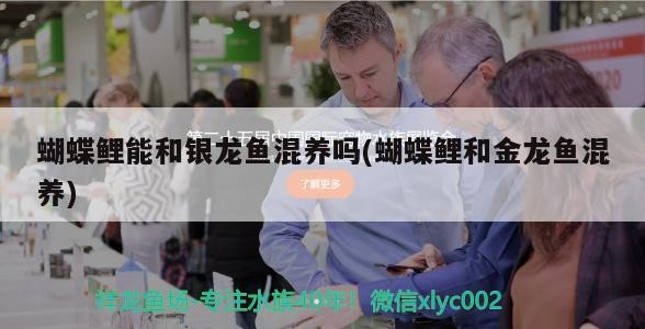 銀龍魚做法大全家常菜竅門（銀龍魚做法大全家常菜竅門圖片）