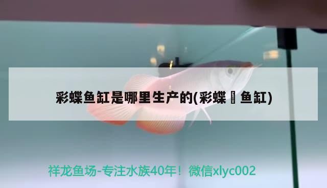 銀龍魚多少度水溫適宜（銀龍魚多少度水溫適宜生存）