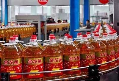 金龍魚大概多少錢（金龍魚價格一般多少錢）