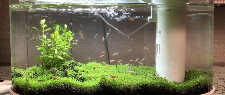 畫法幾何魚缸水泵更換：畫法幾何魚缸水泵更換詳情