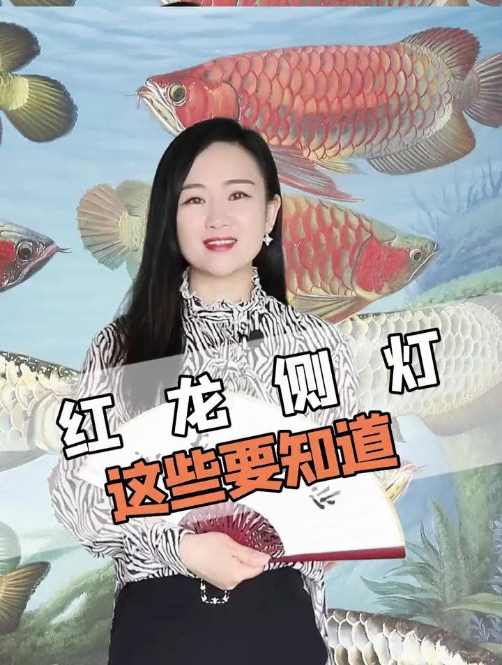 龍魚側燈需要多久換一次