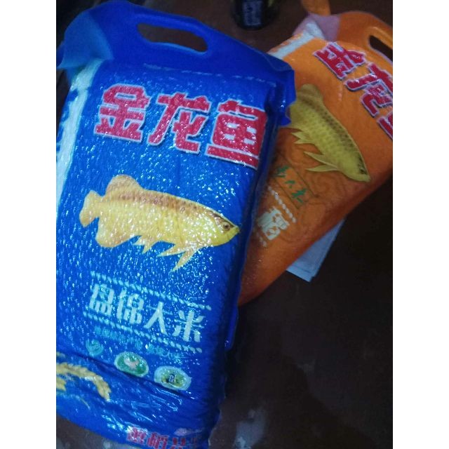 金龍魚魚過溫【新魚入缸過溫的影響】