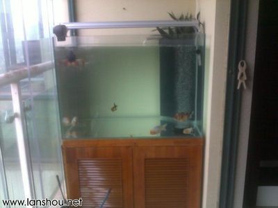 魚缸底濾系統設計：底濾魚缸底濾魚缸設計圖底濾系統原理及優缺點