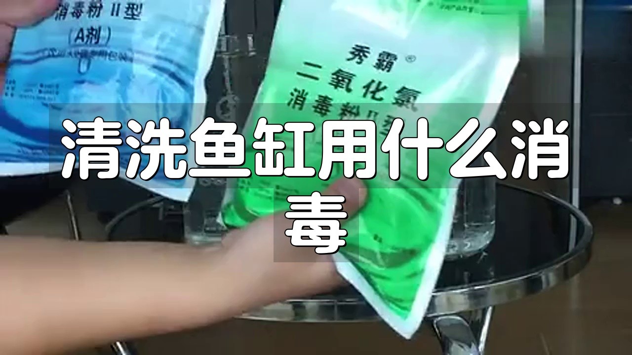 舊魚缸怎么清洗消毒