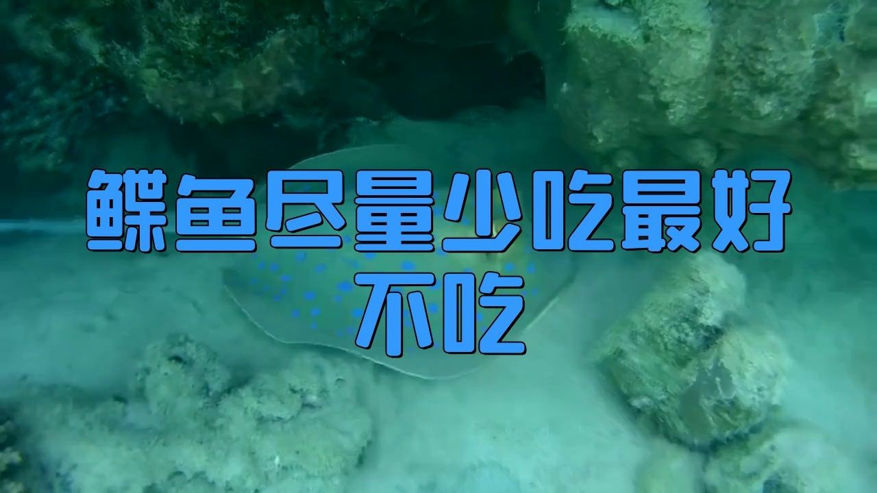 蝴蝶魚盡量少吃的原因