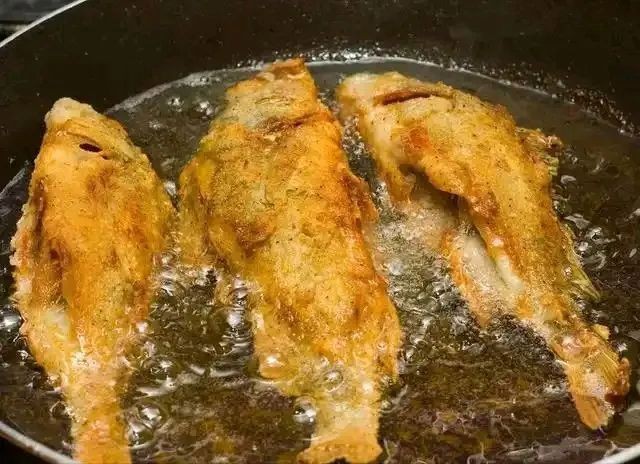 蝴蝶魚盡量少吃的原因