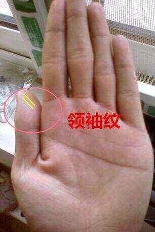 龍眼紋是否真實存在？