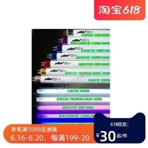 魚缸燈光與水草生長的關(guān)系：燈光與水草生長的關(guān)系