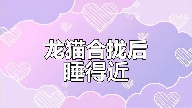 龍貓可以幾只一起住嗎