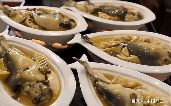 河豚最貴三個品種