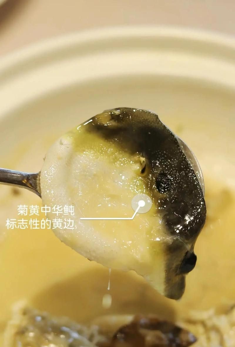 河豚最貴三個品種