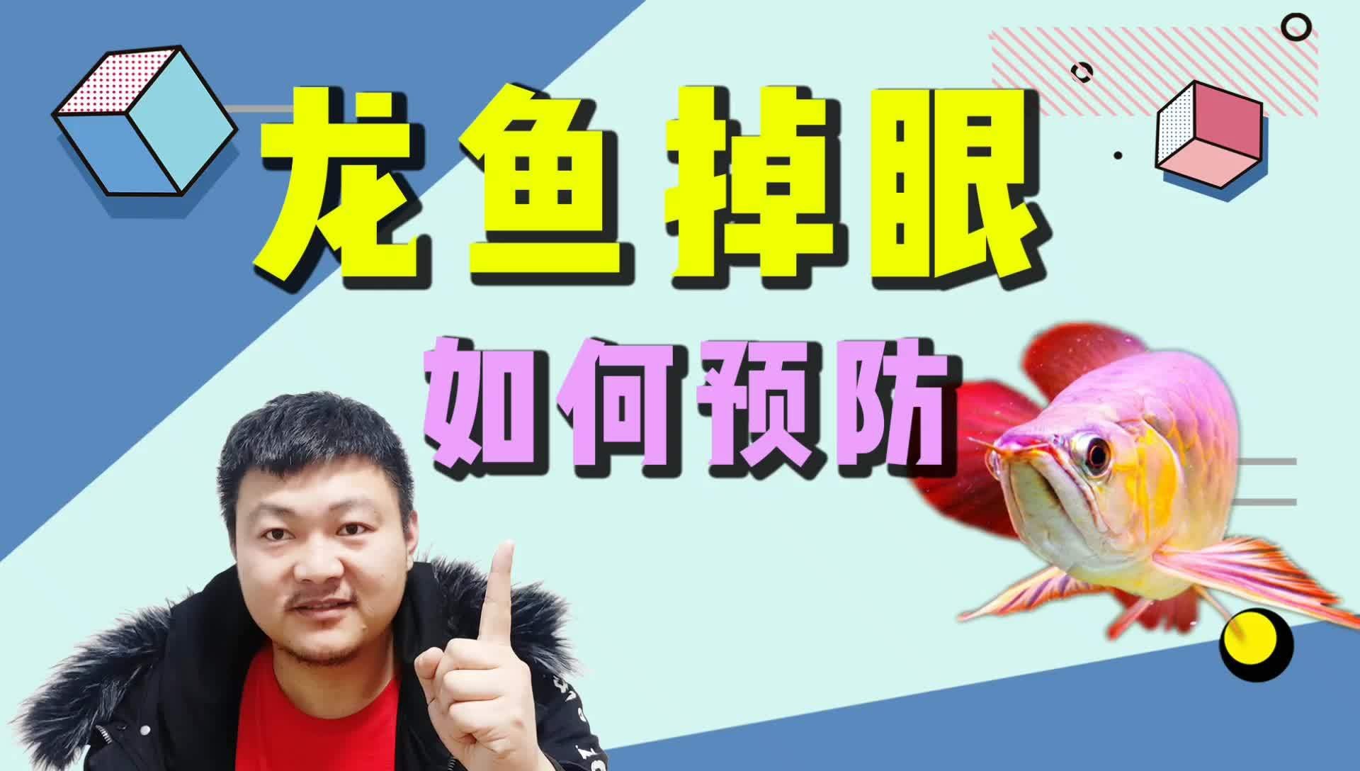 龍魚不開燈會(huì)掉眼嗎？ 龍魚不開燈會(huì)掉眼嗎？ 龍魚論壇 第3張