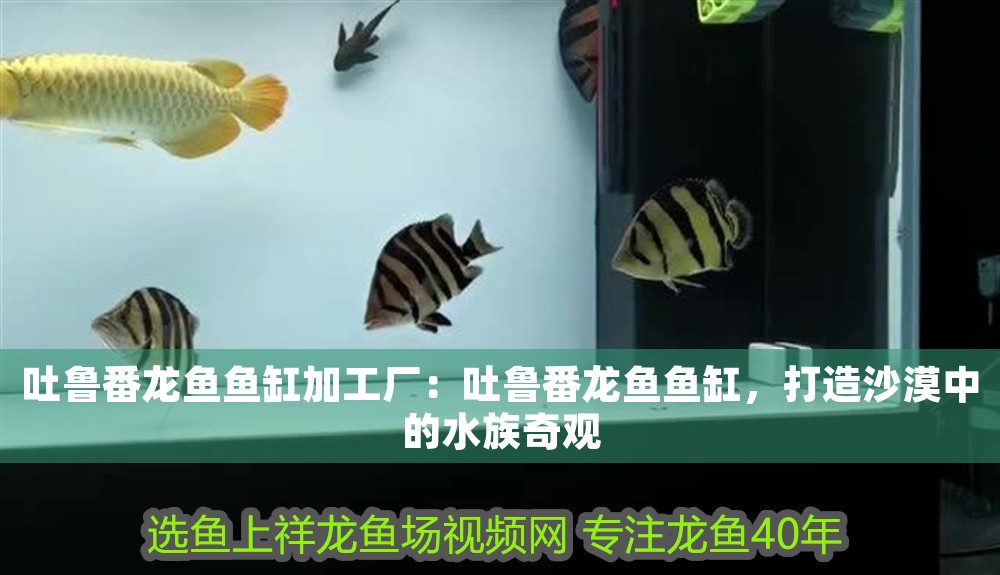 吐魯番龍魚魚缸加工廠：吐魯番龍魚魚缸，打造沙漠中的水族奇觀