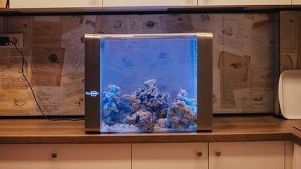 藍寶魚缸是中檔魚缸嗎為什么：藍寶魚缸與森森魚缸對比評測藍寶魚缸價格區間及配置詳解 藍寶魚缸是中檔魚缸嗎為什么：藍寶魚缸與森森魚缸對比評測藍寶魚缸價格區間及配置詳解 魚缸百科 第2張