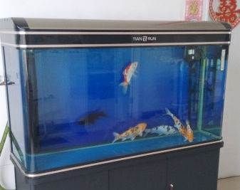 森森魚缸魚缸過濾桶上的標志：森森魚缸過濾桶品牌對比分析森森魚缸過濾桶品牌對比分析