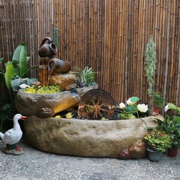黑云魚混養(yǎng)魚缸裝飾建議：黑云魚混養(yǎng)魚缸的裝飾