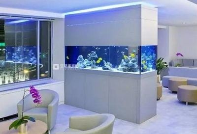 魚缸家居：如何選擇魚缸家居？ 魚缸家居：如何選擇魚缸家居？ 魚缸百科 第2張